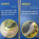 (사)야생생물관리협회 영월지회 | [자유기고]2023 추계 생태답사 영월 한반도습지, 물무리생태습지 탐방기