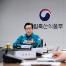 하우스386 이미지