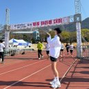 국립창원대학교 | &lt;국립창원대학교&amp;MBC경남 제1회 벚꽃 마라톤 대회&gt; 런린이 10k 뛰다 참가 후기