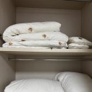 제주 조우아 이미지