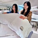 연충 이미지