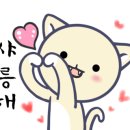 오아시스모터스
