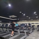 은평투엑스휘트니스