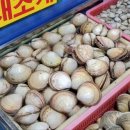 농수산물도매시장 조 이미지