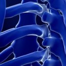 더봄365정형외과의원 이미지