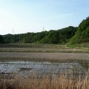 명석농장 이미지