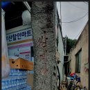 문턱바구 티스토리