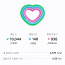 하루운동 이미지