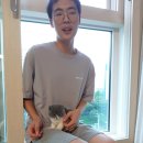 분당고양이분양 나비캣 이미지