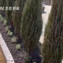 블루엔젤 하우스 이미지