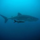 하하 동물병원 이미지