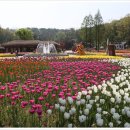 부천자연생태공원 이미지