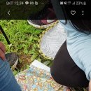 부개초등학교 이미지