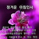 꽃피는하루 이미지