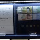 돈벼락 - 안성시 비룡2길 24 | 돈벼락