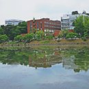 건국대학교 Daum카페