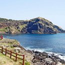 태양마을영농조합법인 이미지