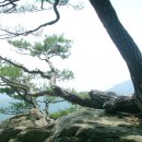 송화정 이미지