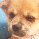 용원해수탕 이미지