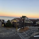 중앙닭집식당 | 경주 용산회식당 1인분 포장후기 압도적인 회 양 추천