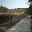 양지농장 이미지