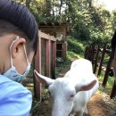 민수목장 이미지