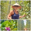 생태공원농장 이미지