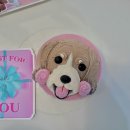 펫스튜리(petschurri) 이미지