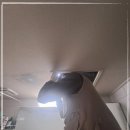 누수오케이수도설비 이미지