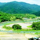 우산성(상) Daum카페