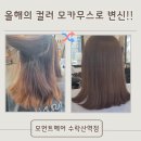 [공지] 수락산역염색 잘하는곳 모먼트헤어 저손상염색전문 한결원장님께 받은 모카무스 염색후기