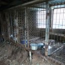 거기농장 이미지