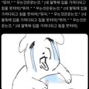 새천년병원 | 품절남