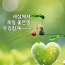 7월24일 수요일 아침에편지 이미지