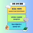 와이사업 | 더블와이파파 와이즈 카페 기획 3인 3색 강의 후기