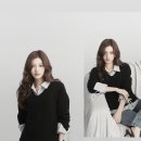개예쁨 이미지