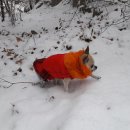 다나은동물약국 이미지