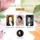 카바티나 이미지