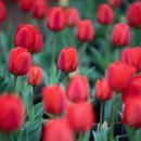 보롬제주 이미지