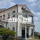 스테이연동 | 경주 감포 숙소 스테이연동 204호, 오션뷰 가성비 펜션 스노클링 후기
