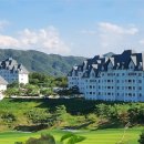 펠리체인터내셔널주