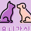 요니케이크 이미지
