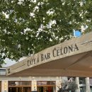 셀로나(Celona) 이미지