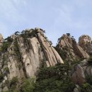 에덴동산 이미지