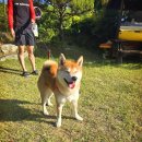 노블레스팬션 이미지