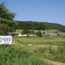 자연사슴농장 이미지