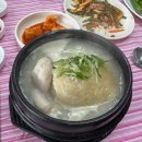 누룽지삼계탕본마실 | 경주 복날 몸보신메뉴 본마실누룽지삼계탕 내돈내산 후기