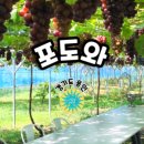 장촌농장 이미지