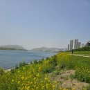 형산강상생자전거길4 이미지