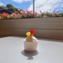 피오르디 젤라또 이미지